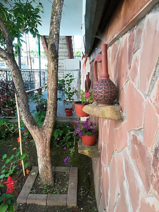Runo Guest House Gagra Exterior foto