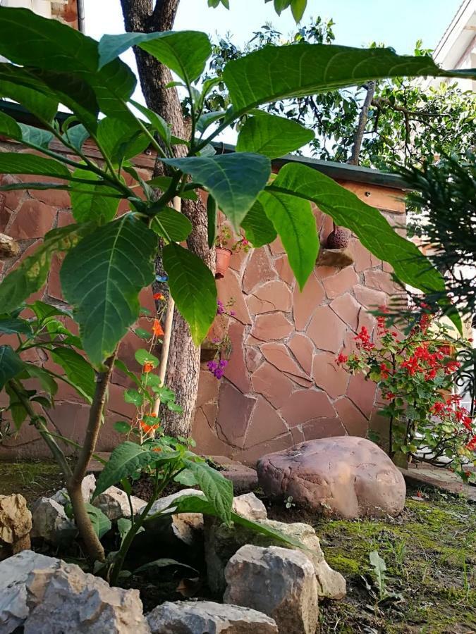 Runo Guest House Gagra Exterior foto