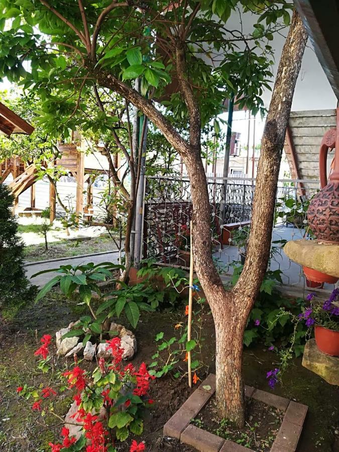 Runo Guest House Gagra Exterior foto